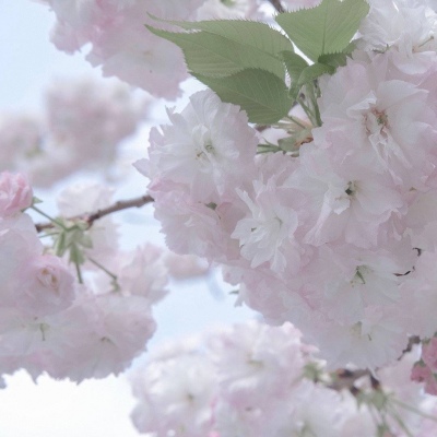 梅列FurryQQ群介绍